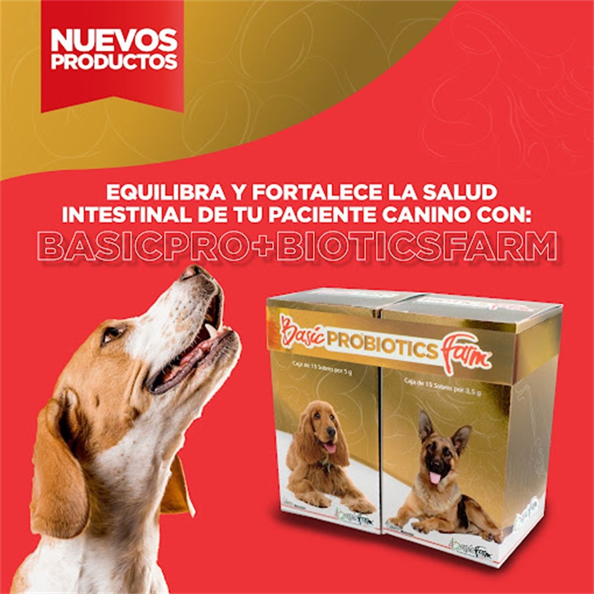 PROBIOTICS KIT* 2 Sobres 5 gr
