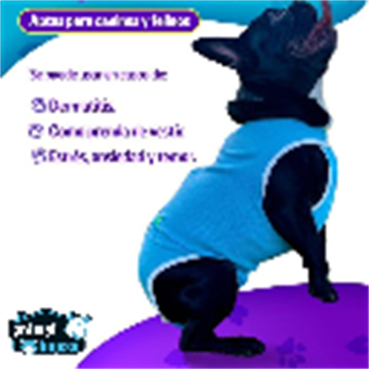 FAJA POSTQUIRURGICA BELT PET TALLA XS