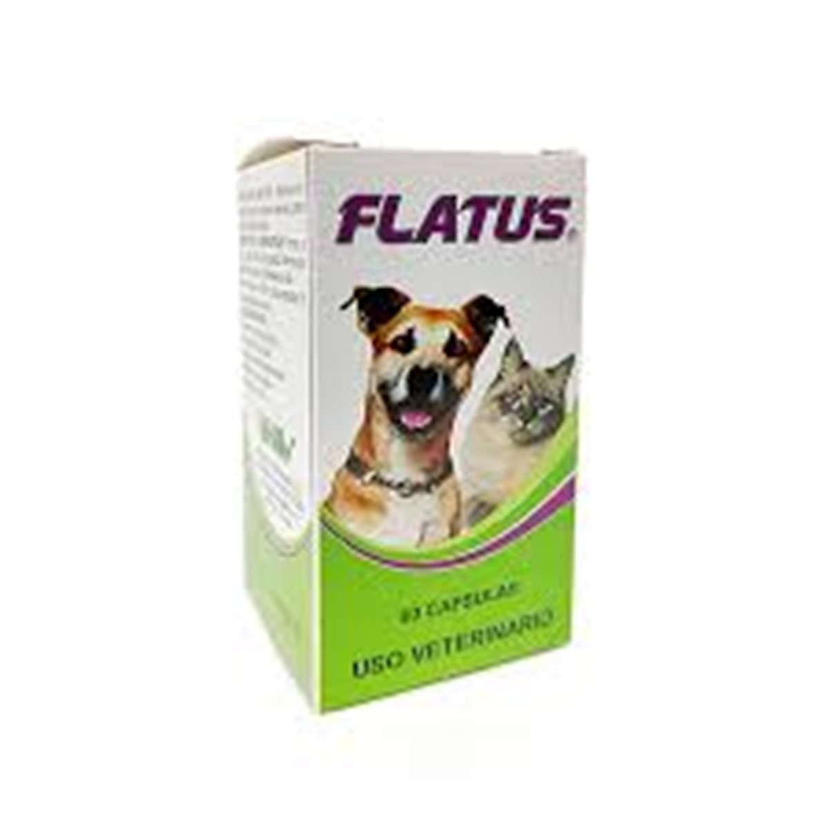 FLATUS * 60 CAPSULAS