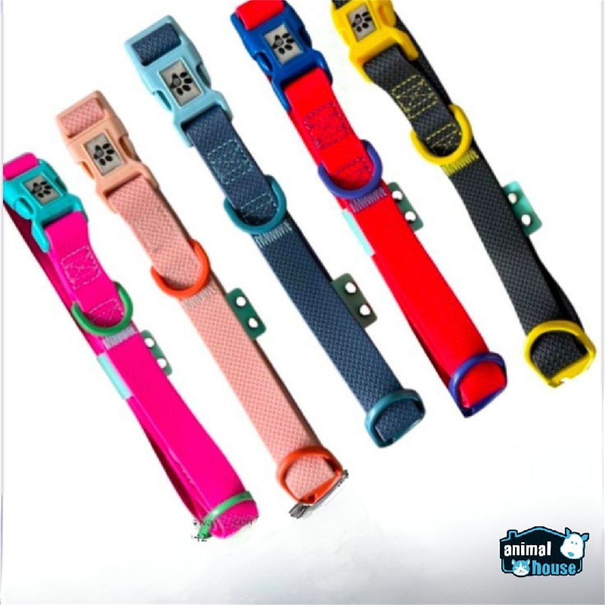 COLLAR IMPORTAD EXTRE 2.0cm/cuell35-53 M