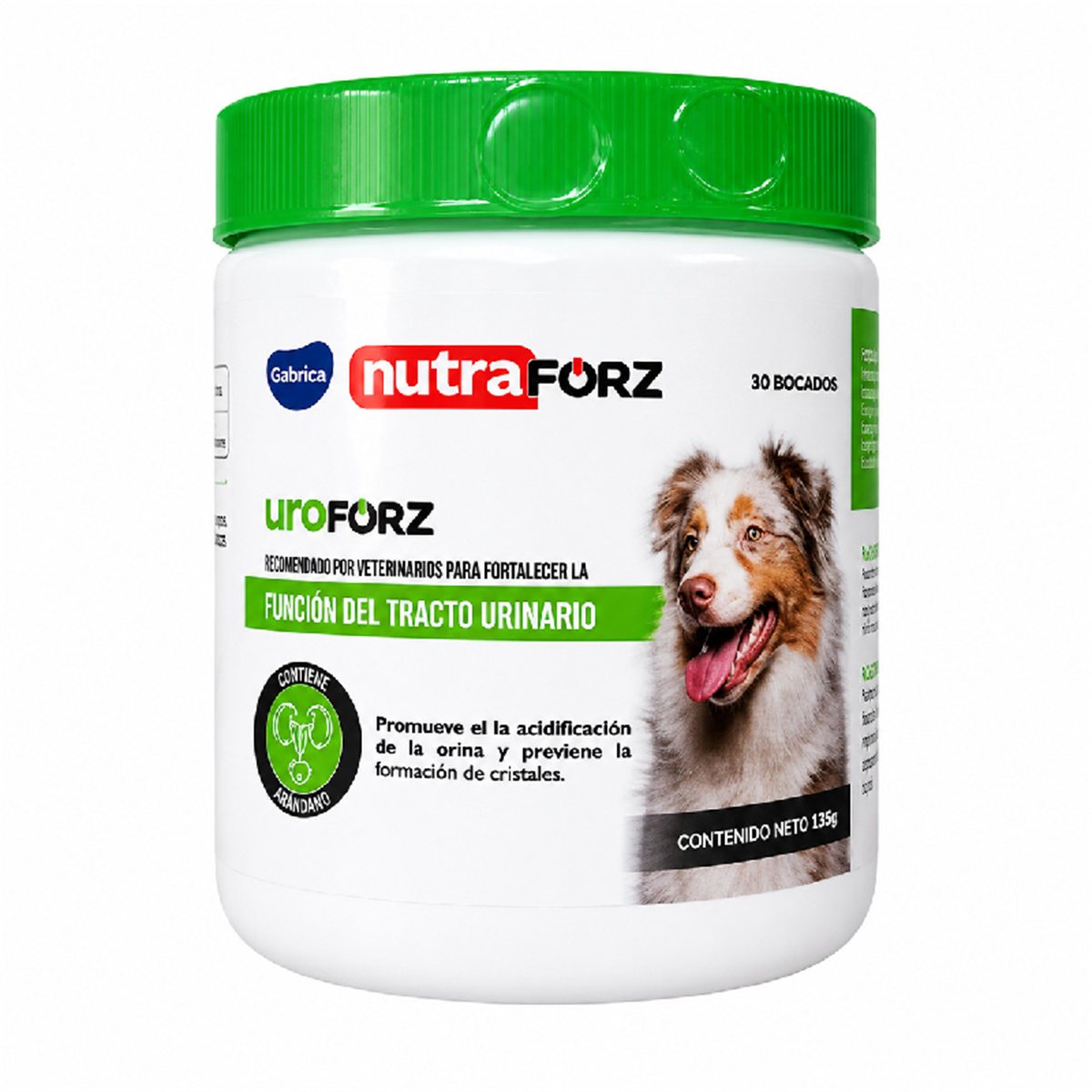 UROFORZ CANINO*  30 TAB