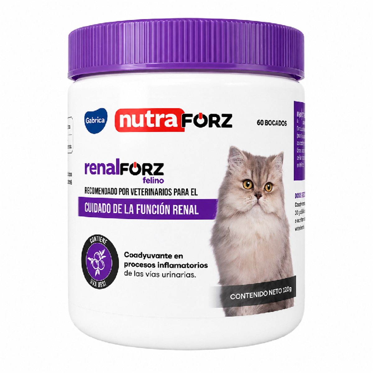 RENALFORZ FELINO *  60 TAB