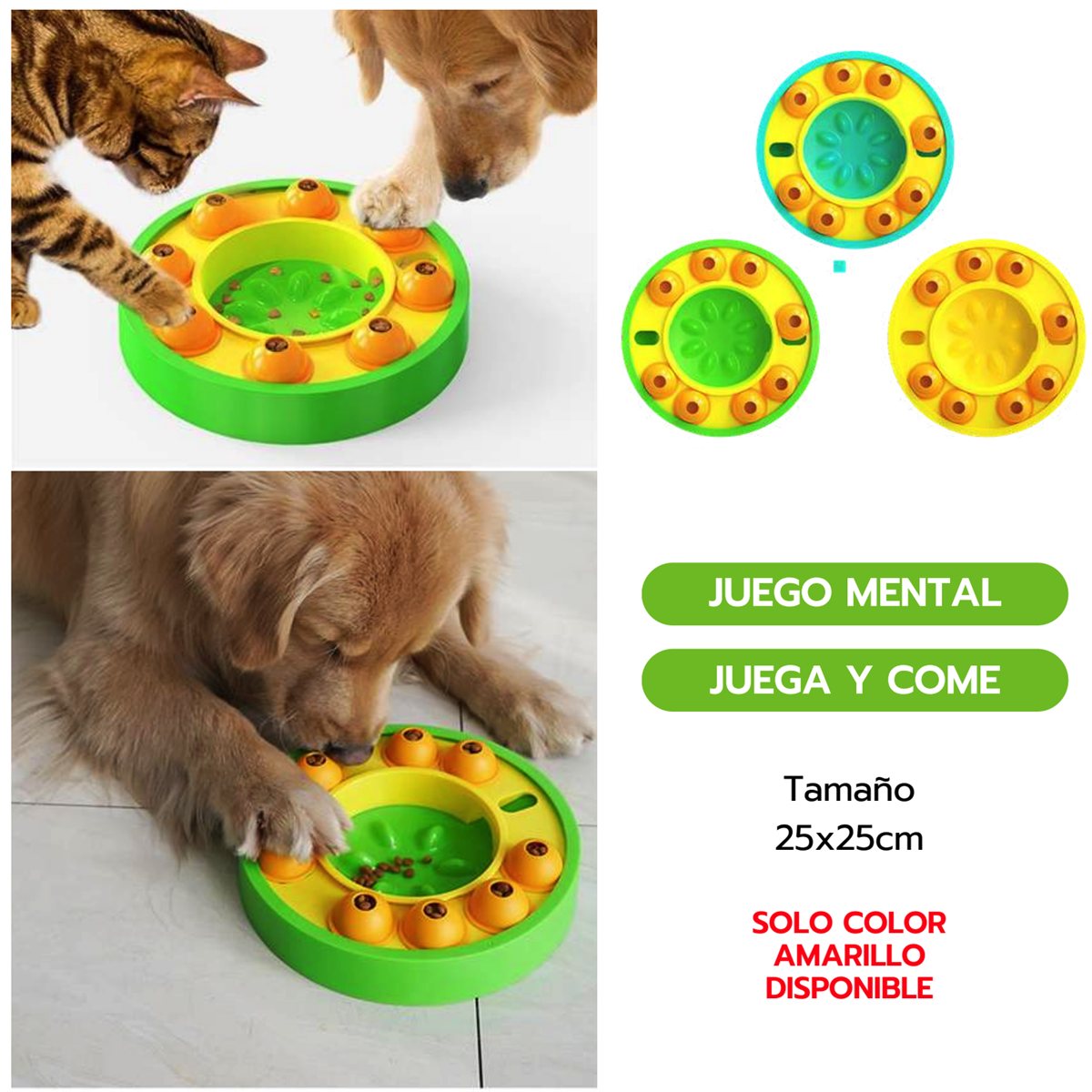 PLACA INTERACTIVA BUBBLE