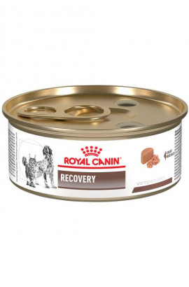 ROYAL CANIN LATA RECOVERY WET 0.145