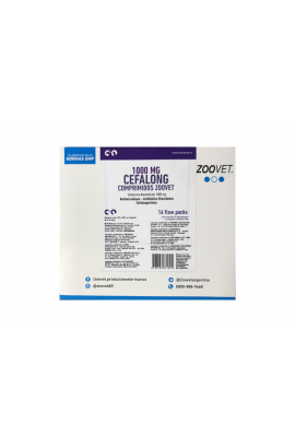 CEFALONG 1000 mg 5 TAB X BLISTER