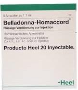 BELLADONA HOMACCORD X Ampolla