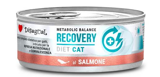 DISUGUAL CAT RECOVERY DIET SALMON X 85gr