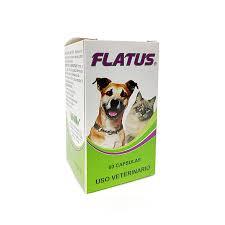 FLATUS X 60 CAPSULAS