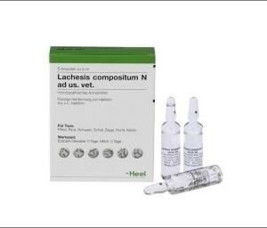 LACHESIS COMPOSITUM Amp X 5 ml